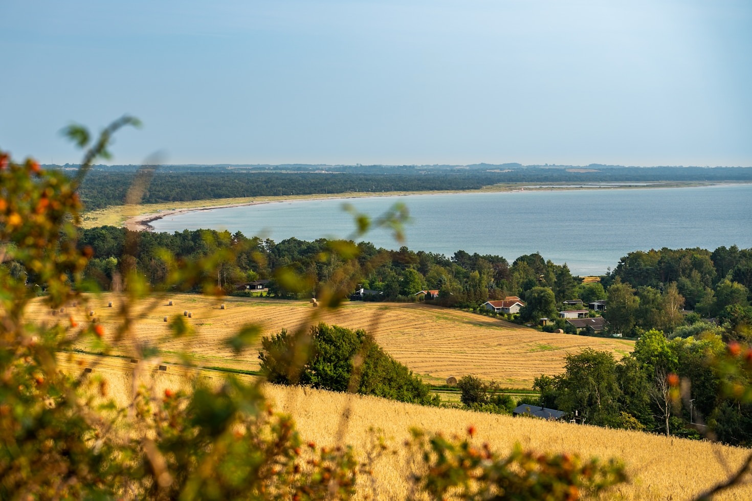 10 Reasons to Fall in Love with Rural Living