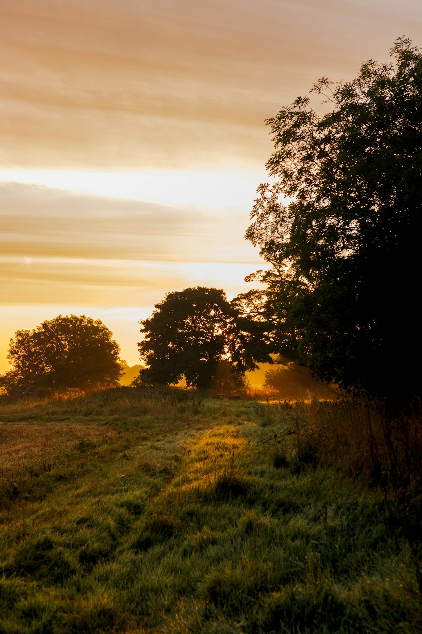 Why a Connection to the Land Matters in Today’s World