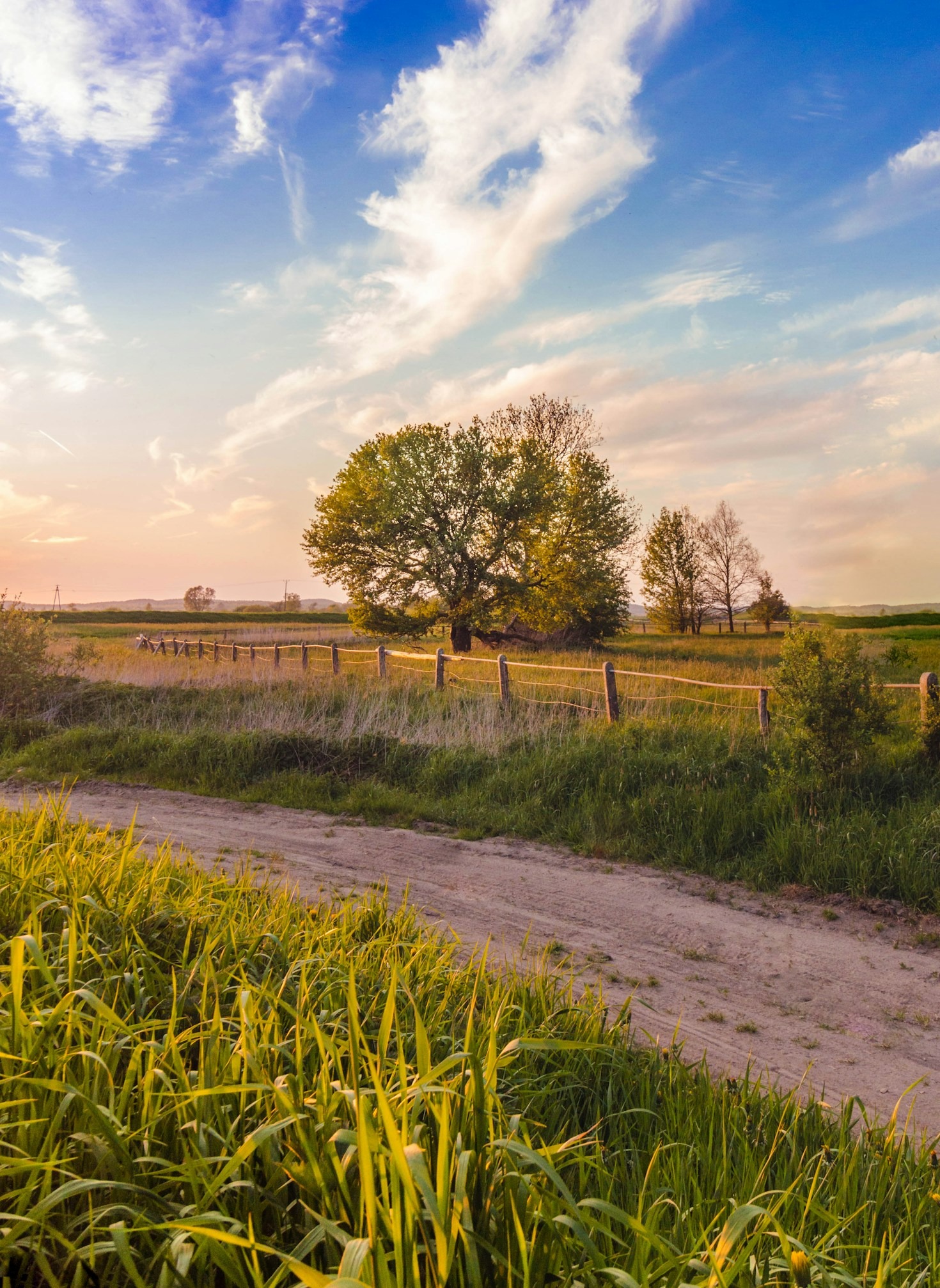 Nature’s Bounty: A Peek into Farm Life